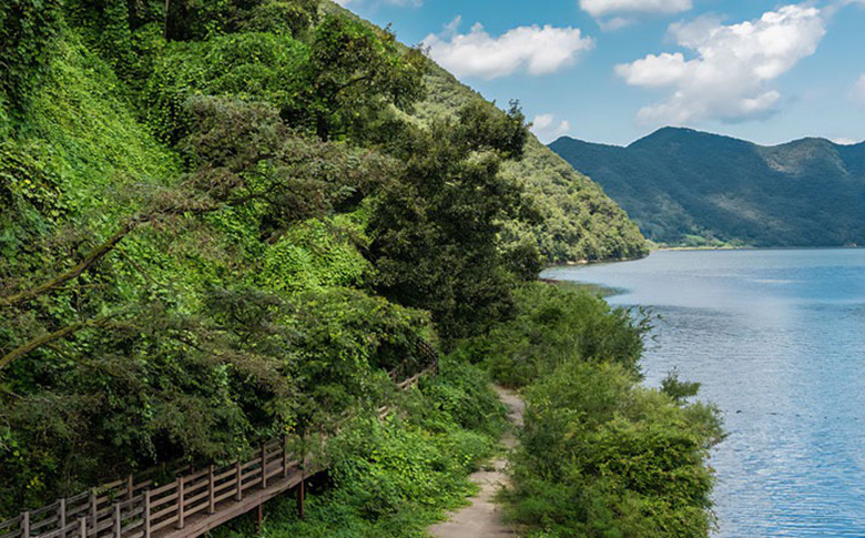 Ǯ���̽���